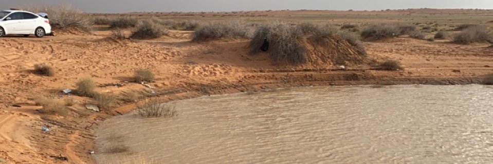 نايف الشمري's banner