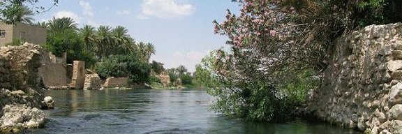 سعاد القيسي's banner