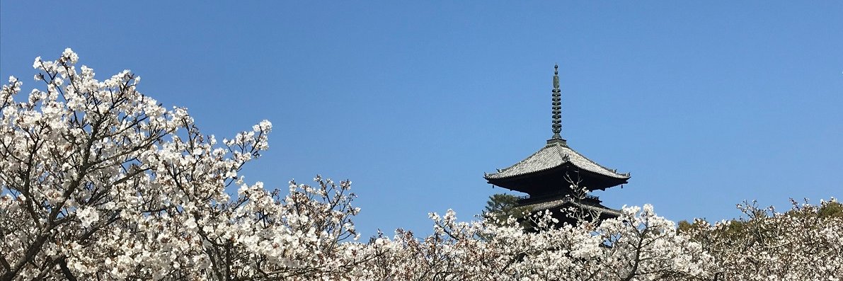 仁和寺's banner