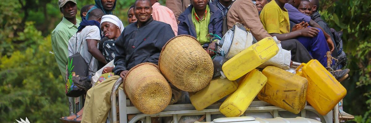 Big Fish 🇺🇬's banner
