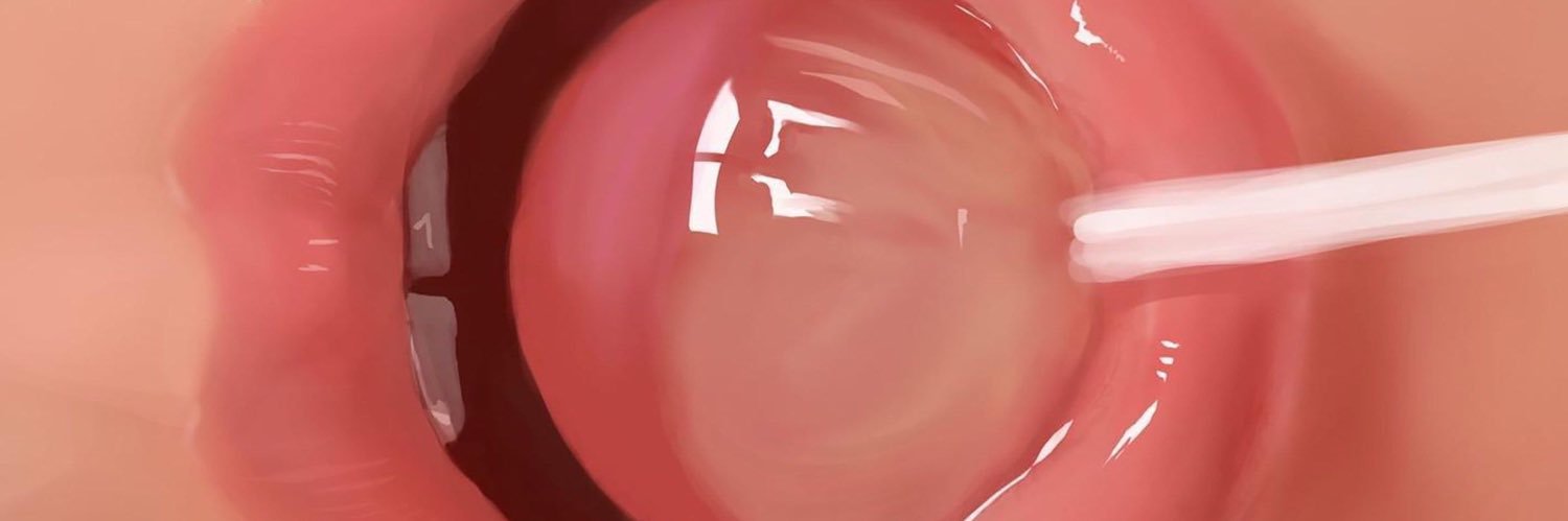 酒酿圆子's banner