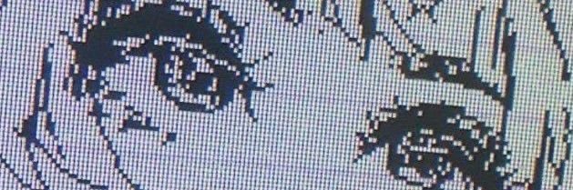 Jennifer's banner