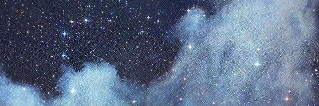 willow's banner