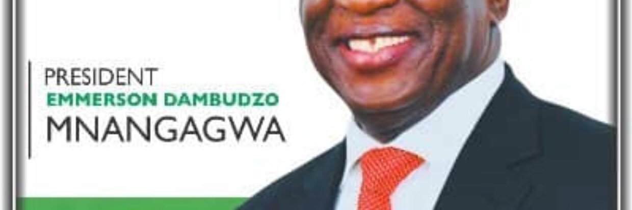 Cde Chibage TINO's banner