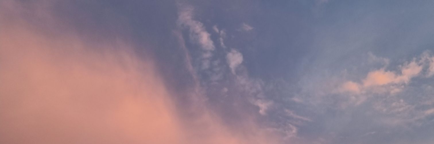 for sohee 🦋's banner