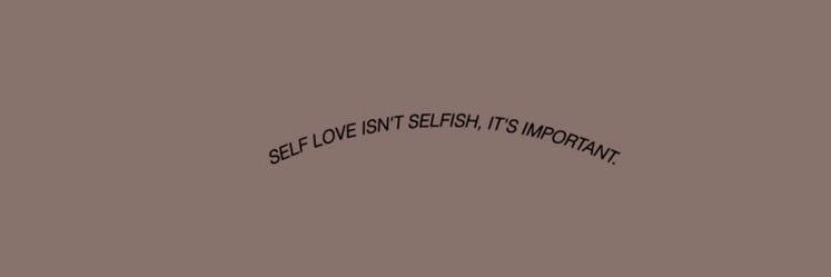 🐻🌻's banner