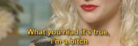 backwoods barbie's banner