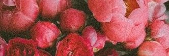 ldramidia's banner