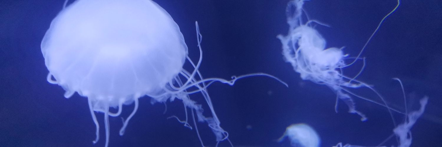 爆肏肥肠's banner