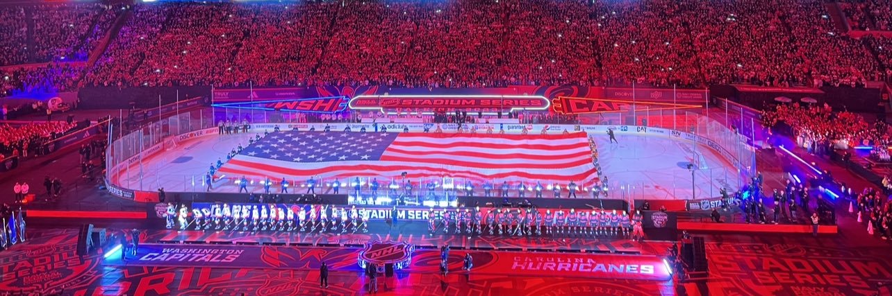David's banner
