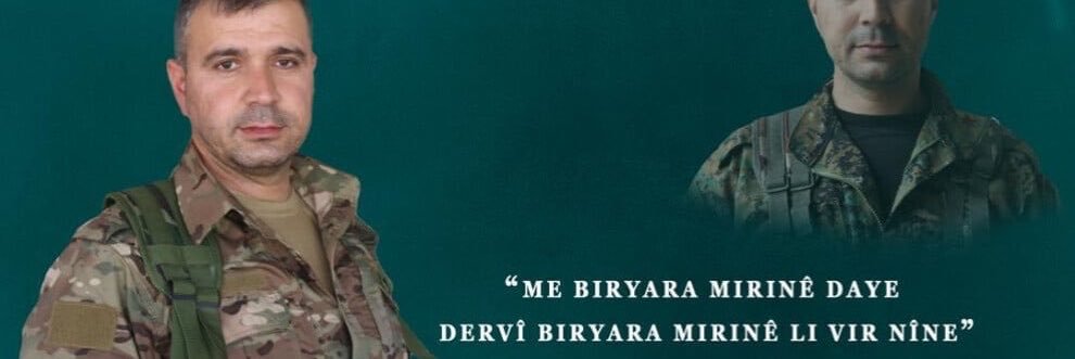 Nazli Ibrahim's banner