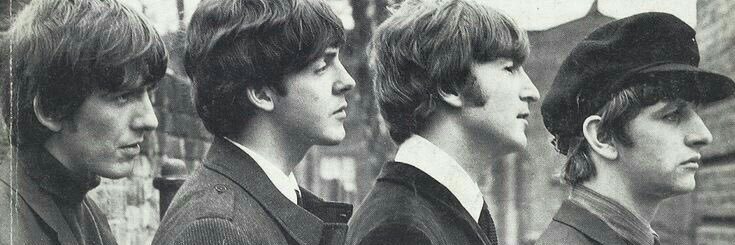 maisy 🌷 beatles 🪕🪿's banner