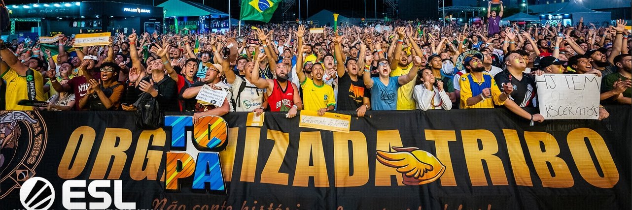 ORGANIZADA DA TRIBO's banner