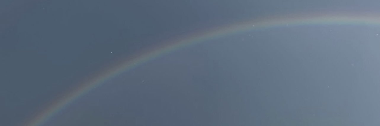 reese cole's banner