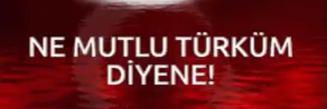 Serpil🇹🇷's banner