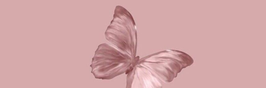 나비🦋's banner