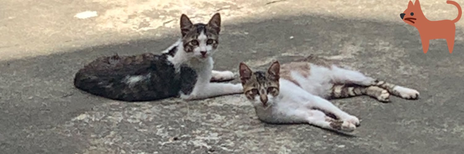 😼 搞笑Matt😼's banner