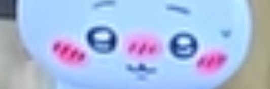 catnip's banner