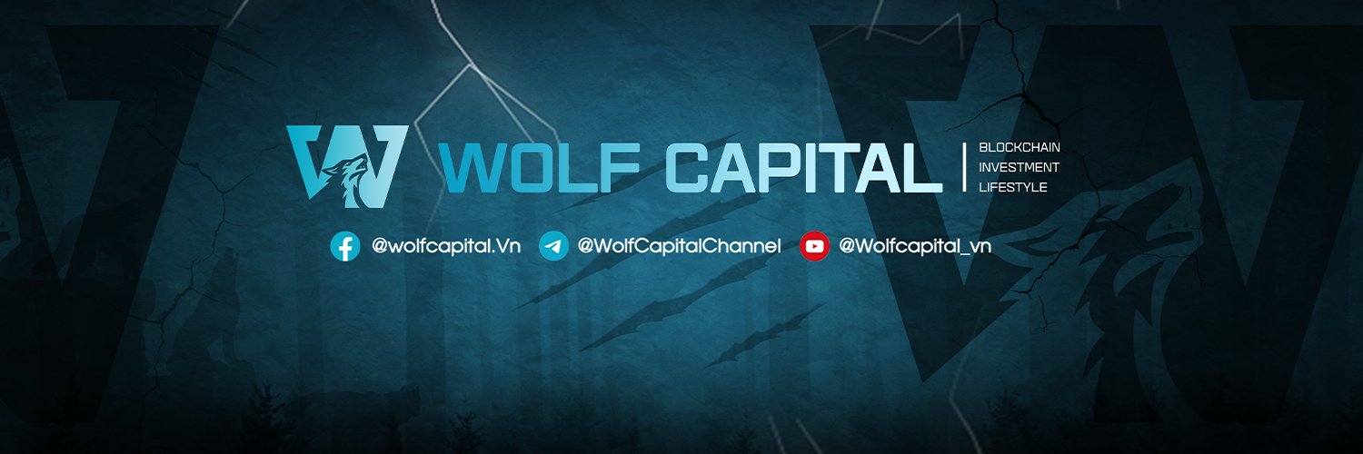 Wolf Capital - Ventures's banner