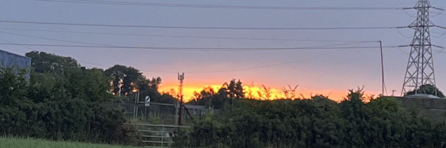 L Dev💚🤍🧡Irish milf's banner