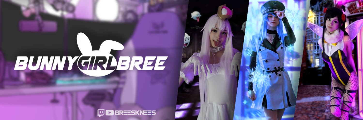 BreesKnees's banner