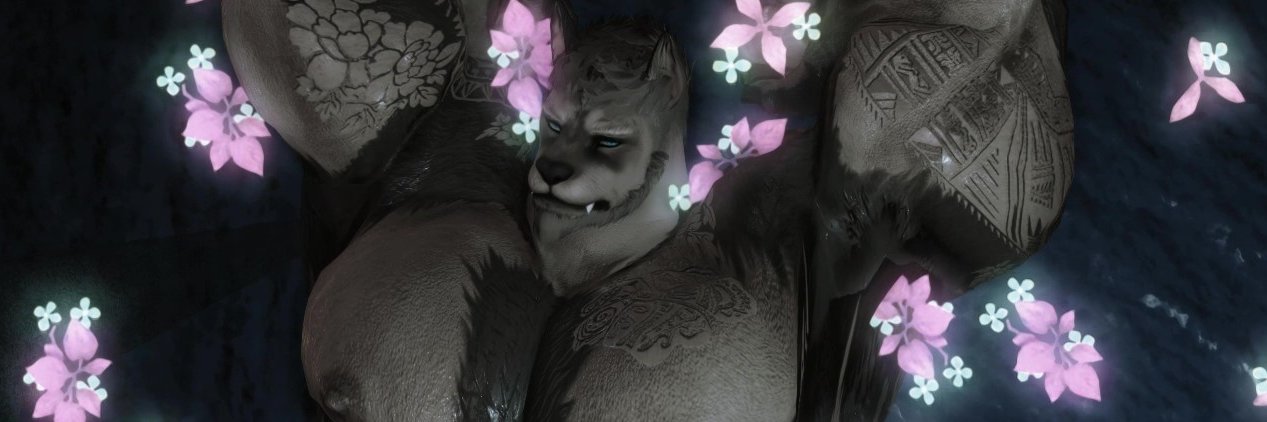𝔻𝕒𝕤𝕙✦𝕤𝕥𝕒𝕣's banner