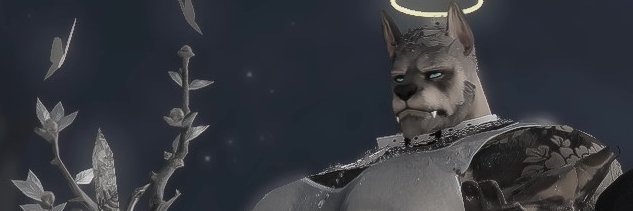 ✦'s banner