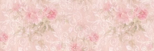 𝒎𝒊𝒍𝒍𝒊𝒆 ‎ . ݁⋆ ۶ৎ ݁˖ . ݁'s banner