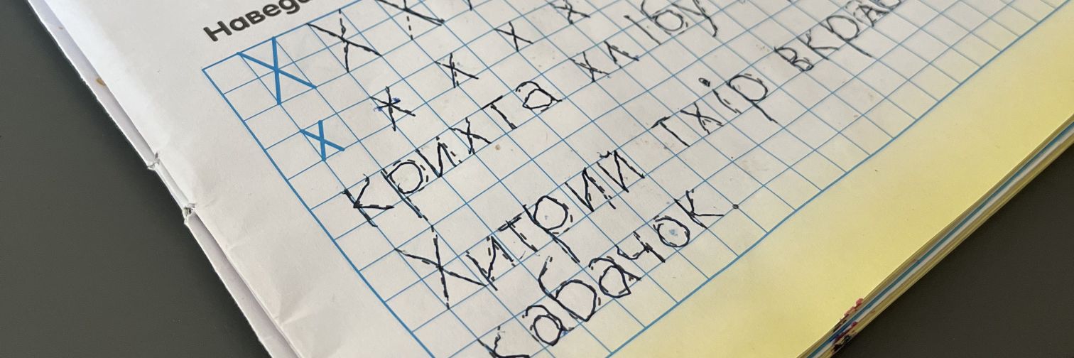 Тхір(🍅🦅) — визнаний раменоблогер's banner