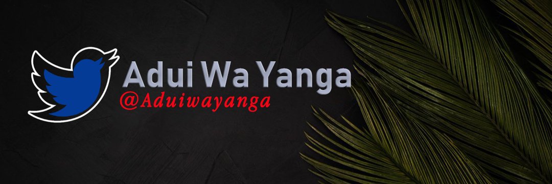 Adui Wa Yanga's banner