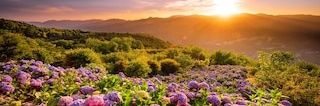 ちちぶみなの's banner