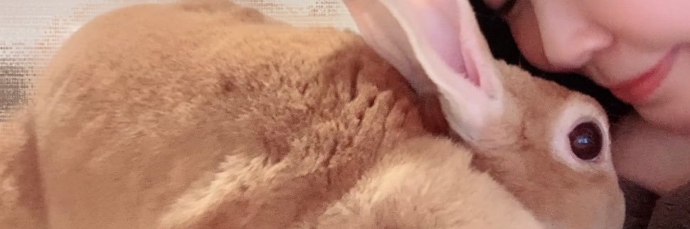 みも's banner