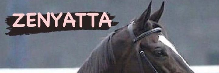 Jorge Urdaneta🇻🇪🏇's banner