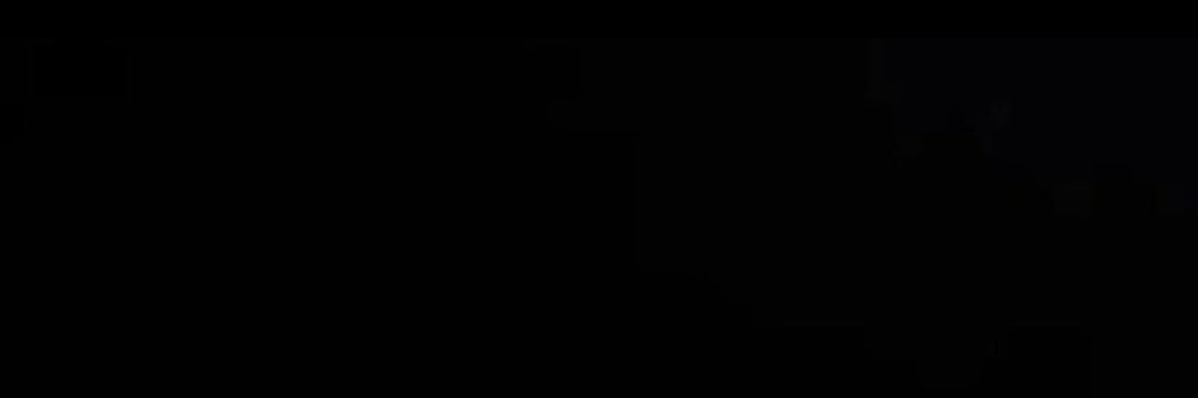 .'s banner