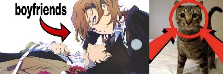 ABRELANO Y ME LA ESTRELLAS's banner