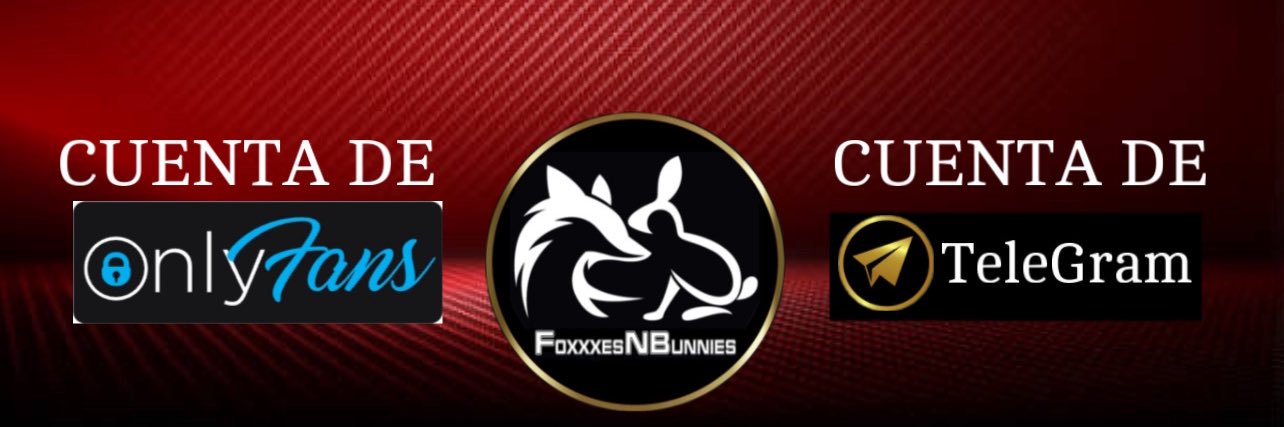 FoxxxesNBunnies's banner