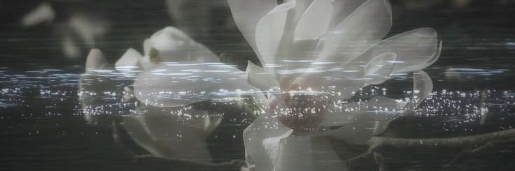 Matt's banner