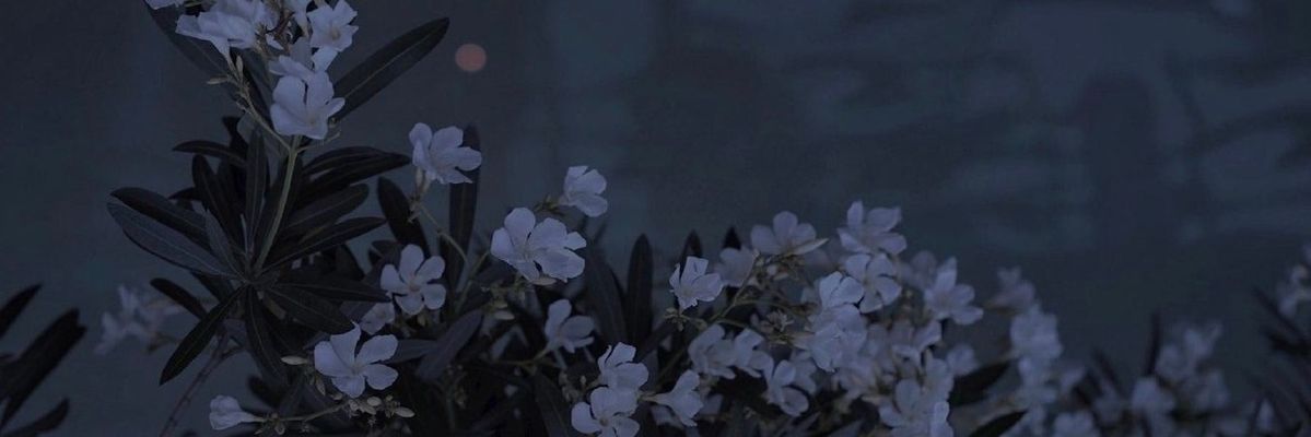 Matt's banner