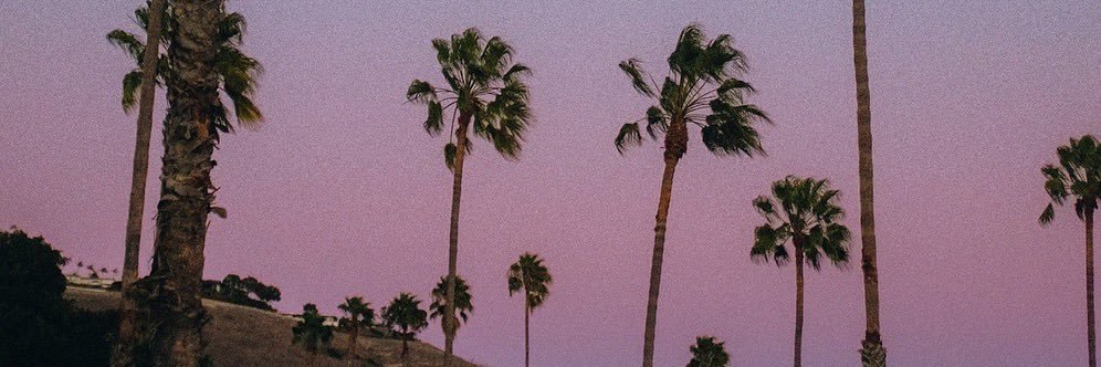 Thebitchyouneverknow's banner