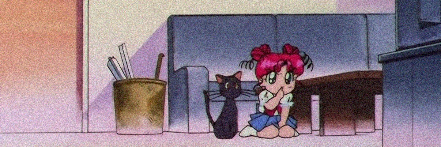 Sailor Moon Absurdity's banner