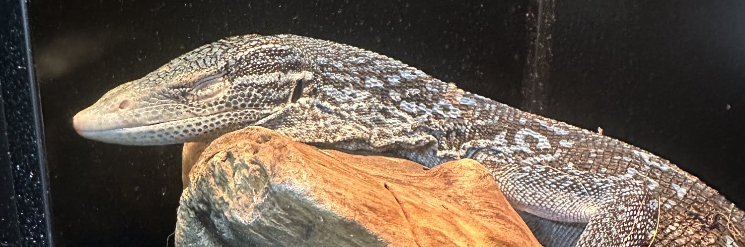 Black lizard 【爬虫類ケージ】's banner