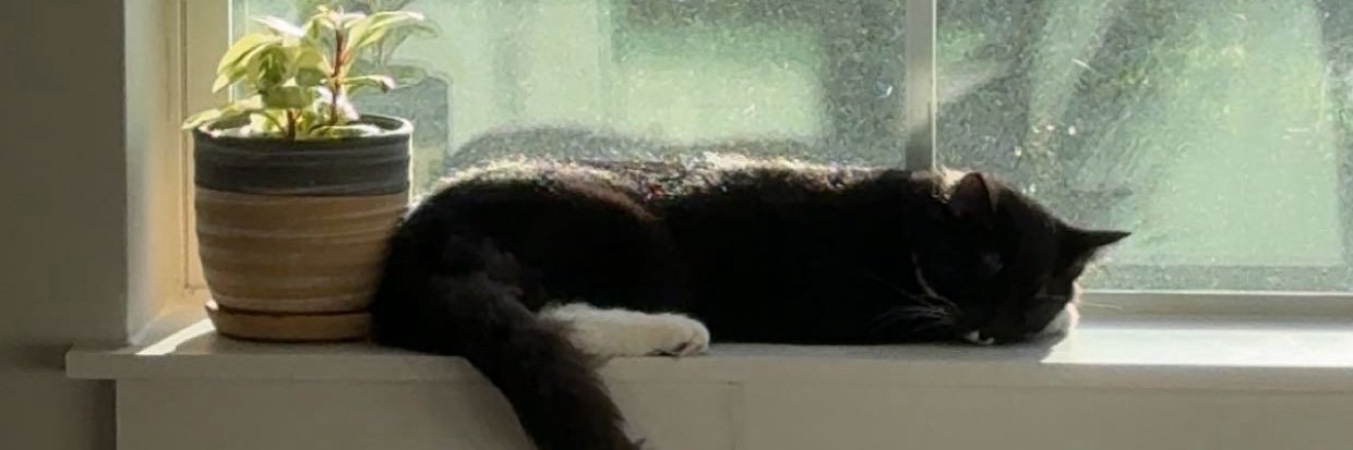 Kat's banner