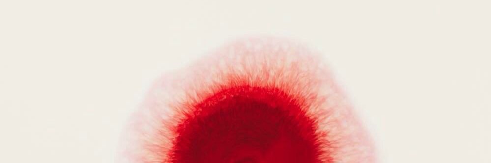 Malika 🧬's banner