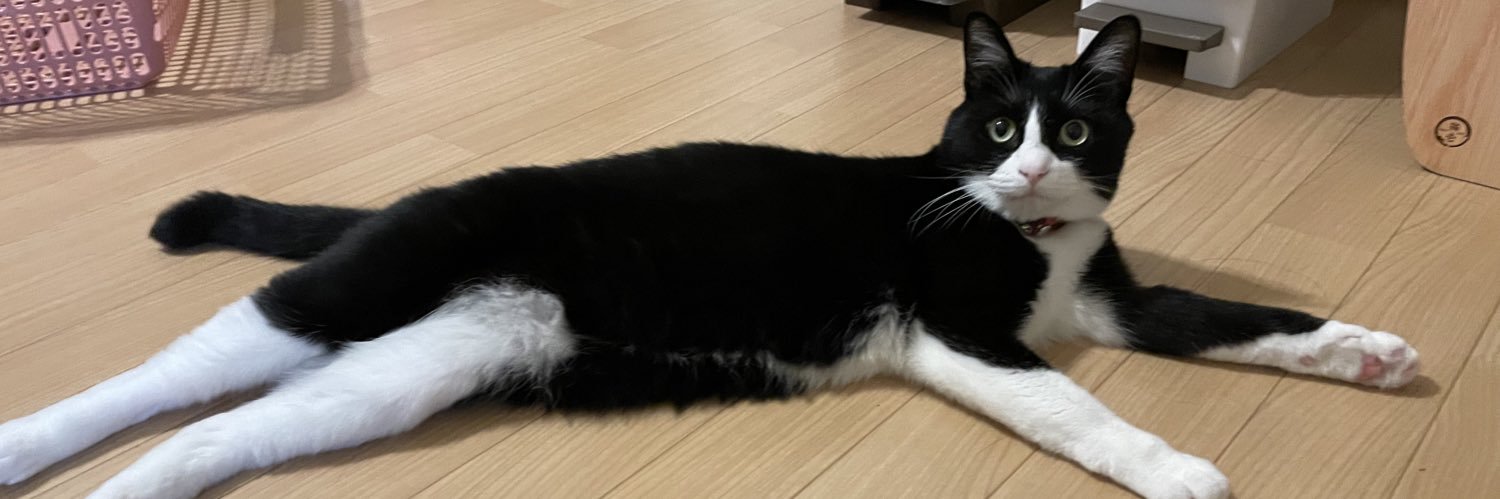 ねこよ's banner