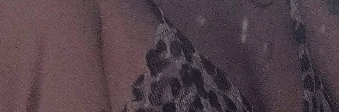 T H Y's banner