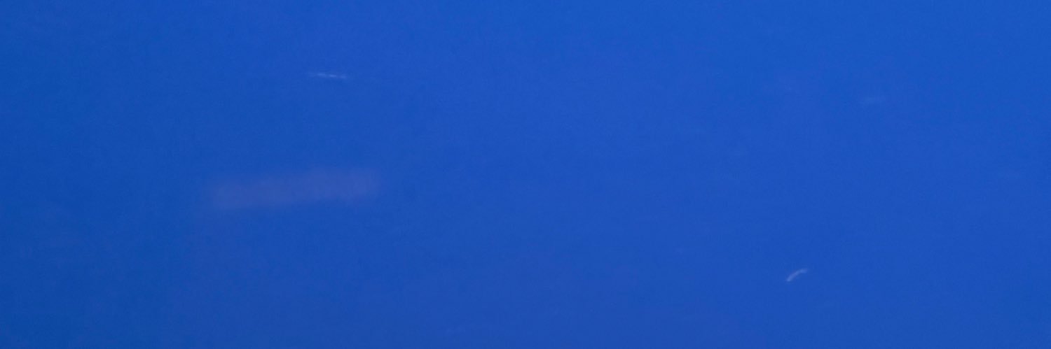 voka's banner