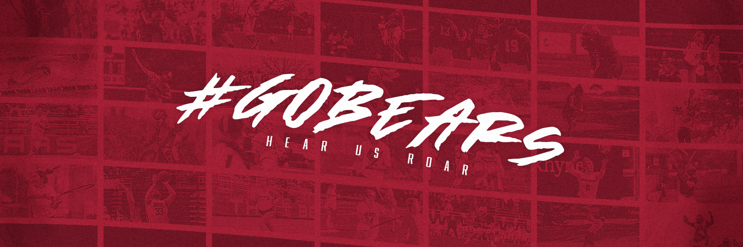 Lenoir-Rhyne Bears's banner