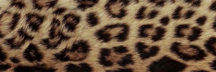 ☾'s banner