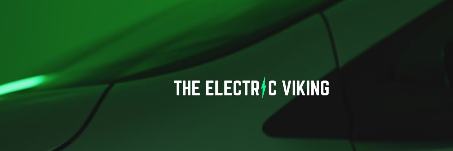 The Electric Viking's banner