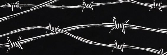 Jay's banner